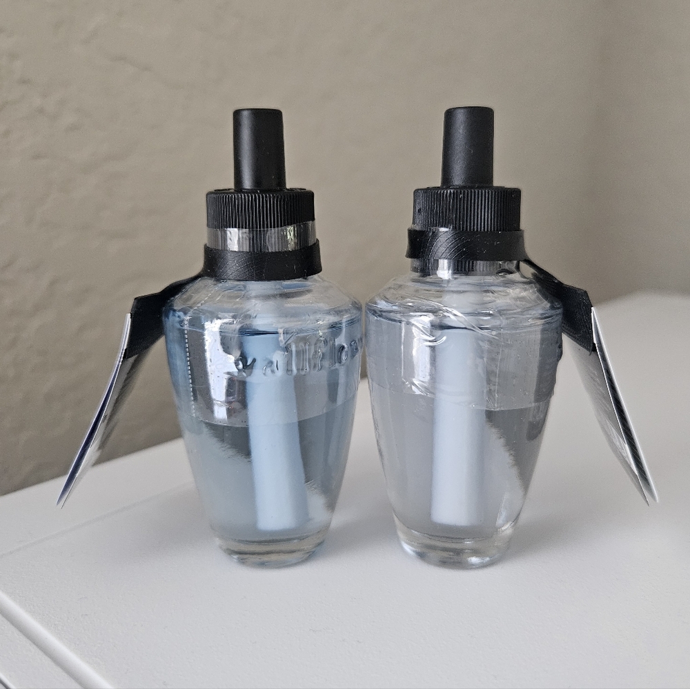 White Barn Wallflowers Refills - Set Of 2 - Picture 2 of 4